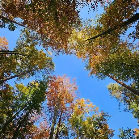 Im Mueritz Lägenhet Rechlin